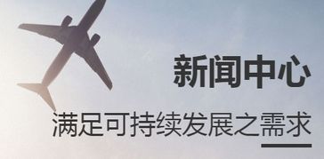 济南优质Lidl验厂咨询 企业管理咨询服务的专业指南